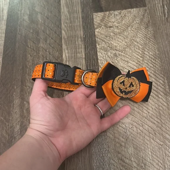 Dog collar - Picture 2 of 2